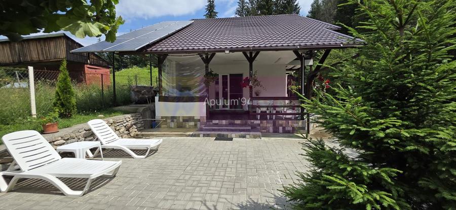 Vila din padure in Valea Doftanei - 37