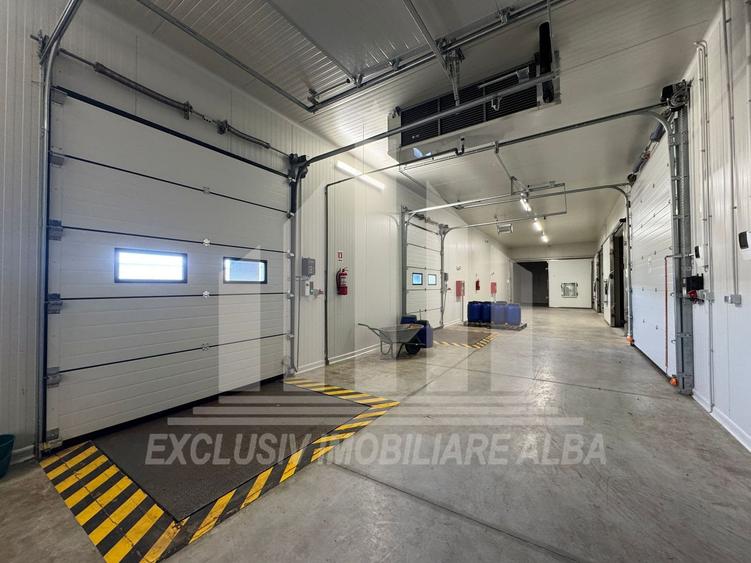 Spatiu industrial frigorific | 1200 mp | 8 m inaltime | 6000 mp teren