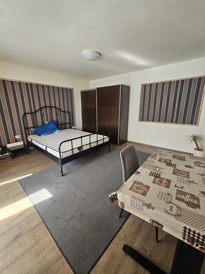 Apartament 1 camera Bulevardul Take Ionescu / Medicina !