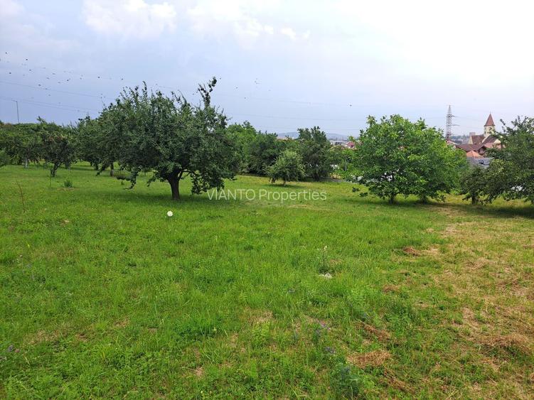 Teren intravilat| Zona rezidentila 1156 mp-TURNISOR - 2