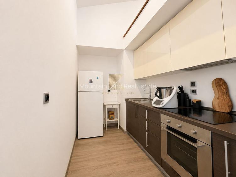 Apartament tip loft cu șemineu, situat în Silver Mountain Resort - 9