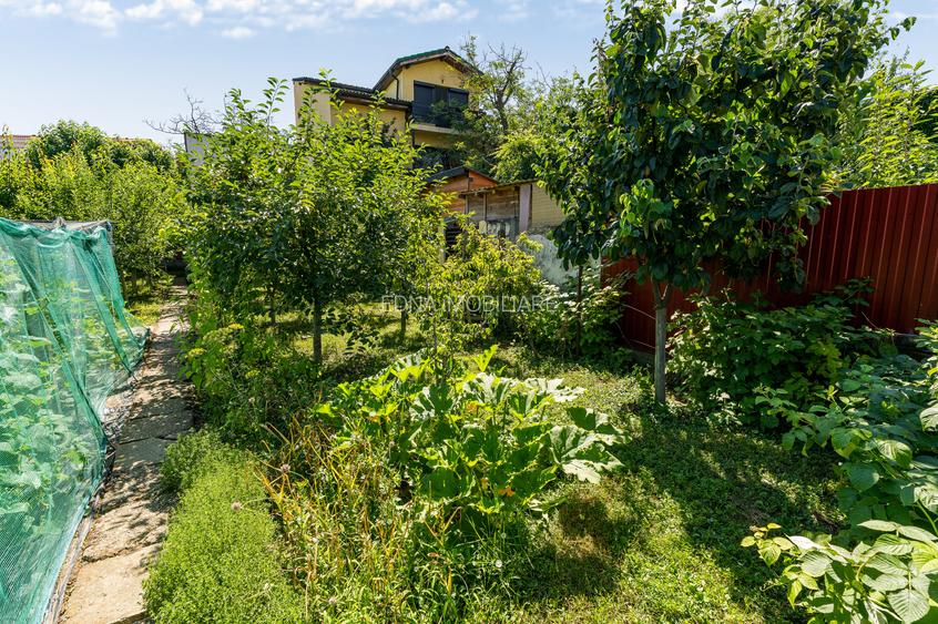 Crisului, casa boiereasca si teren de 800 mp - 39