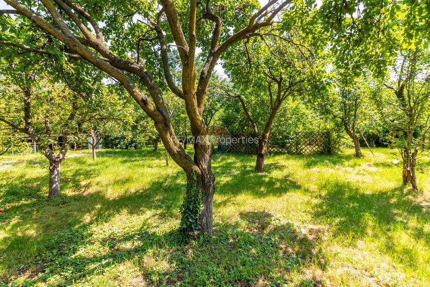Casă/Vila tip conac, cu anexe si livada de vânzare Valenii de Munte - 28