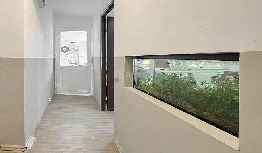 Pretabil Clinica, AfterSchool, Productie, Show-Room