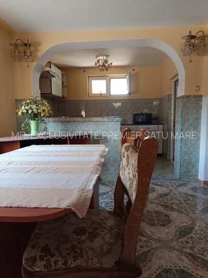 Vilă P+E de vânzare în Valea lui Mihai – 233 mp, teren 733 mp - 32
