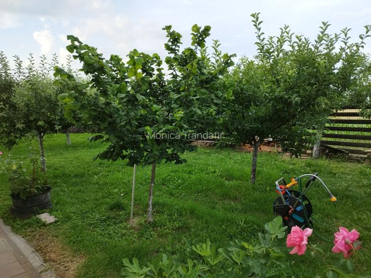 Casa P+1 ,u garaj , foișor și teren generos de 4800mp - 16