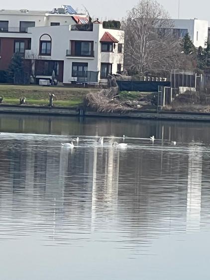 Teren exclusivist | Lacul Grivița | 2.000mp | Fabrica de Cărămida