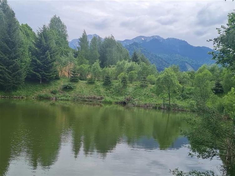 Refugiu idilic cu oglinda de apa, panorama montana, Glajerie/Rasnov, ideal mini