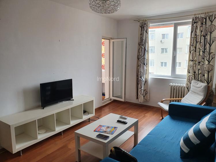 Inchiriere 2 camere Teiul Doamnei - 2