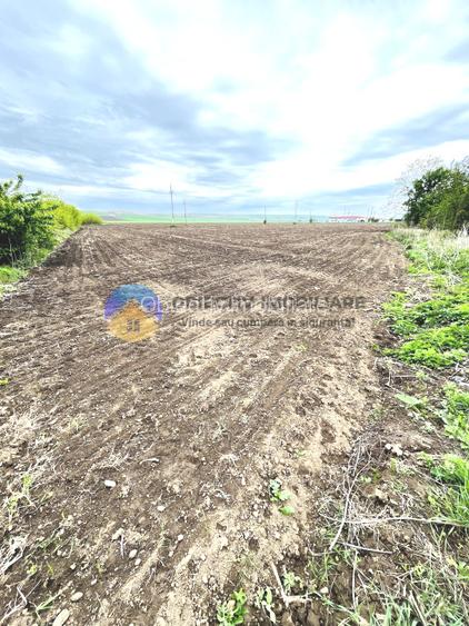 TEREN intravilan 4500 mp  PIATRA NEAMT  strada Izvoare - 2
