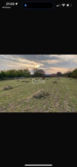 Teren  intravilan, ca un colț de Rai  lângă Snagov  - 8
