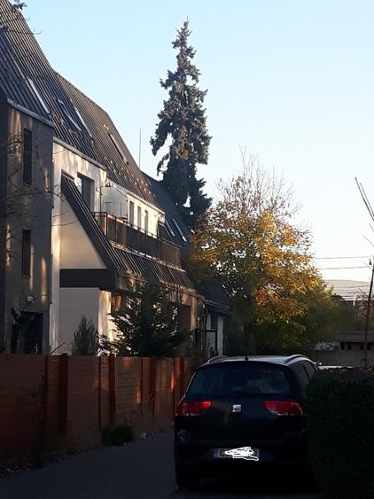 Apartament de vanzare cu gradina ap 60 Gradina 60, parcare