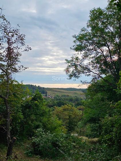 Teren cu priveliste spre vale, la padure, zona linistita, la 1h30 de Bucuresti - 4