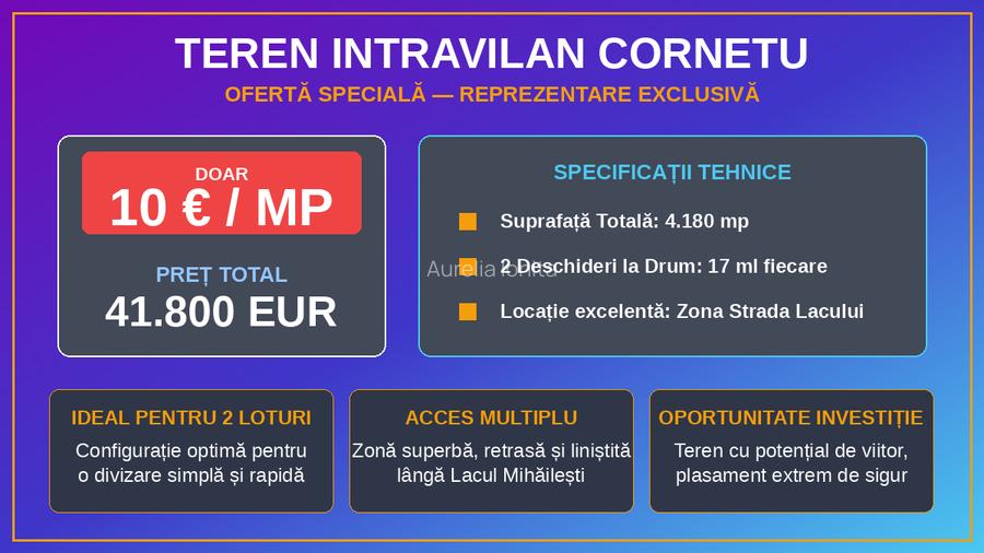 Proprietar –Teren Intravilan Cornetu - 4.180 mp, 10 €/mp – 2 deschideri la drum - 3