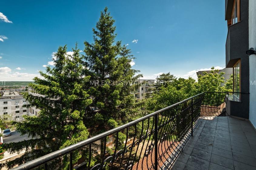 Proprietate premium vis-a-vis de noul Stadion Nicolae Dobrin - 30