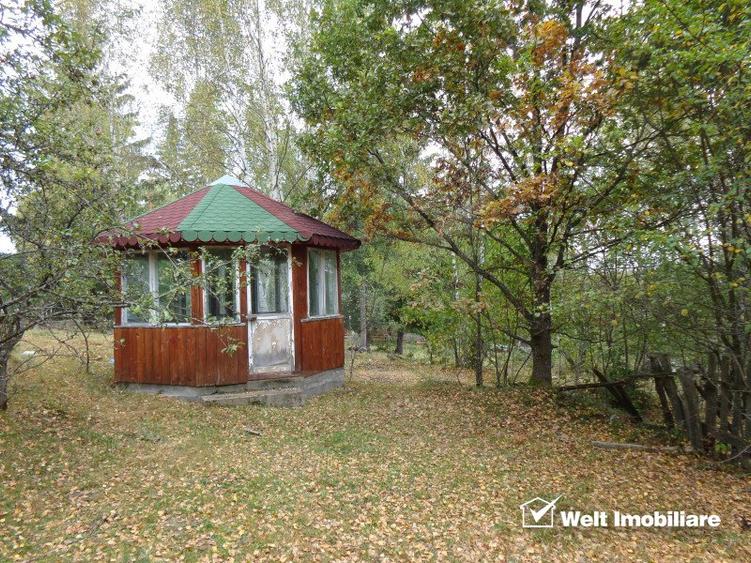 1.6 ha de padure cu poienita, parau la limita curtii, cabana pentru trei familii