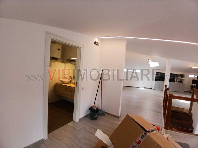 Loft spatios la Cismigiu - 8