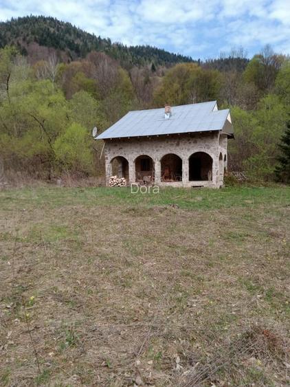 O oază de natură în inima munților: Casa + Teren de 30283 m2 în Tarcău - 3