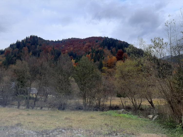 Se vinde Casa de vacanta