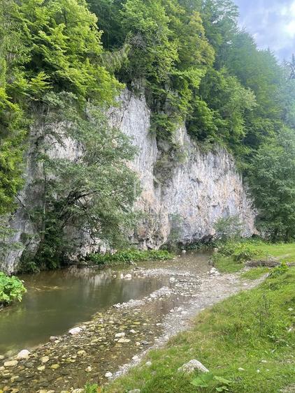 Teren Investiție Turistică Dâmbovicioara Baranga | 4.500 mp