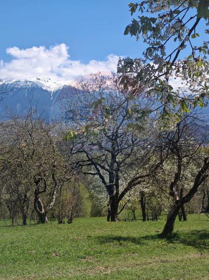 Ocazie! Teren 9735 mp Bran- Predelut / Strada Pe Tarina nr. 70A