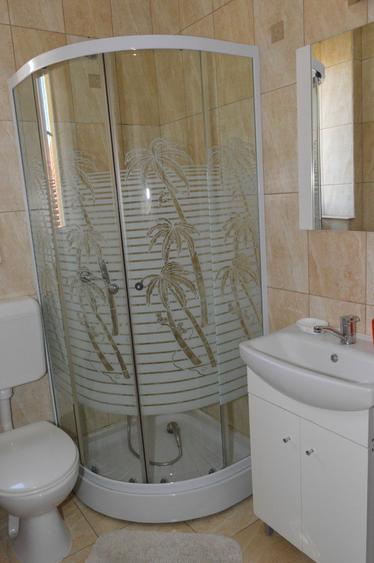 Casa cu 8 camere de inchiriat, Sanmartin, Bihor
