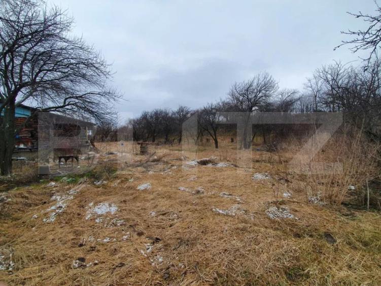 Casa cu teren generos în Ceanu Mic – 1.700 mp, la doar 20 km de Cluj-Napoca