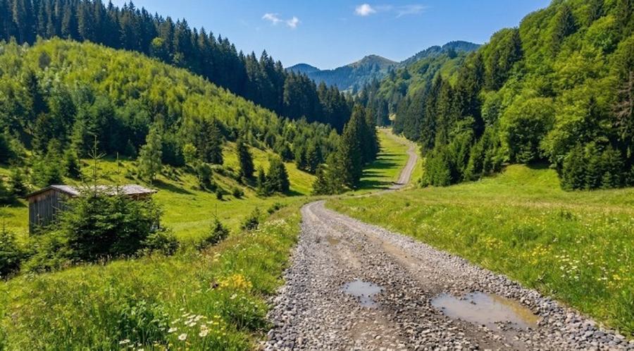Oportunitate Investiție–Teren Intravilan 2.763 mp, Poiana Brașov Str. Stânii