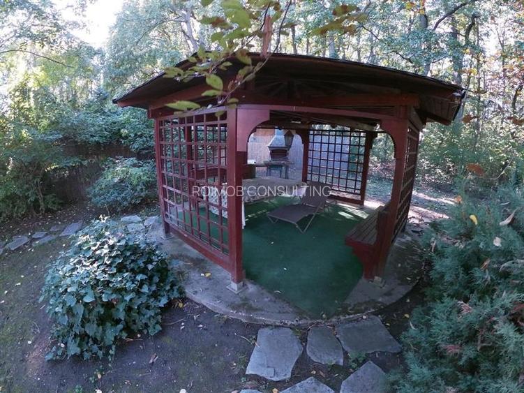 Vila 2.700mp, Paradisul Verde, cu piscina si padure proprie - 14