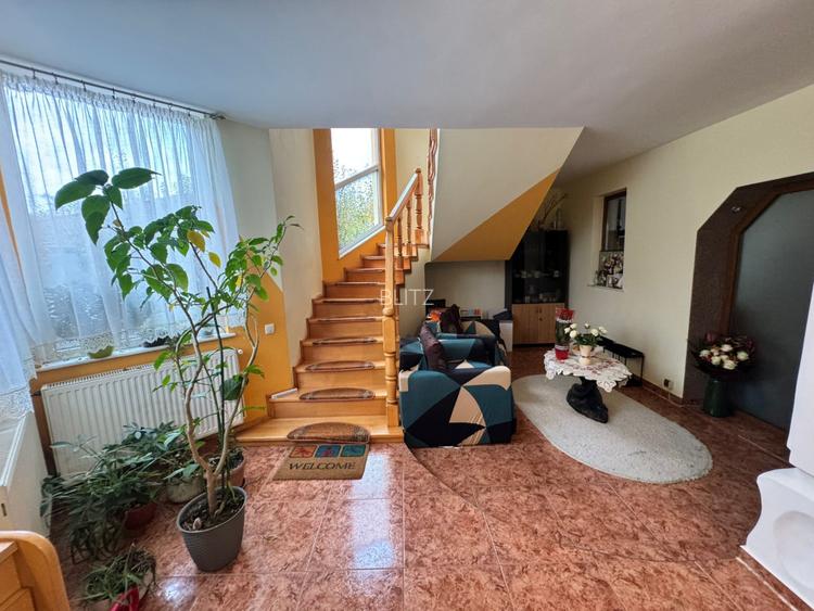 CASĂ DE VIS SAU AFACERE DE SUCCES – BAIA SPRIE - 17