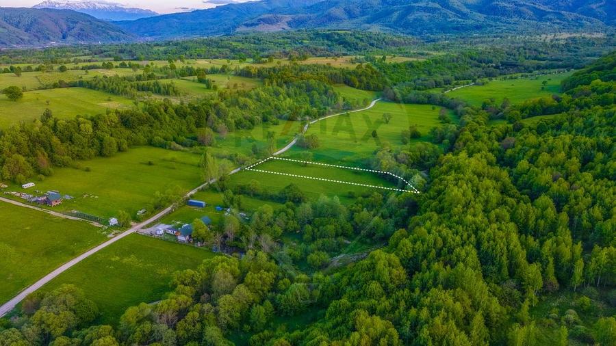Teren 3000 mp | Șinca Nouă | Râu | Cadrul natural superb | Comision 0