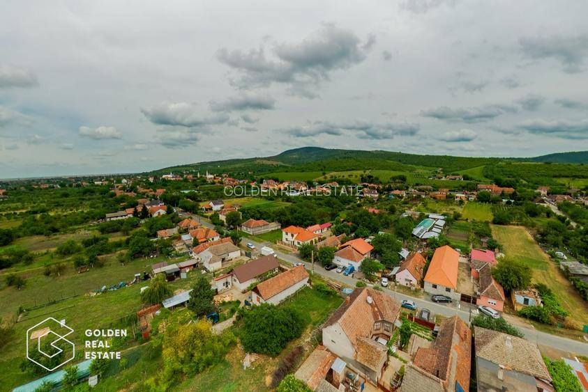 Afacere la cheie: Pensiune functionala sau casa de locuit, Ghioroc - 39