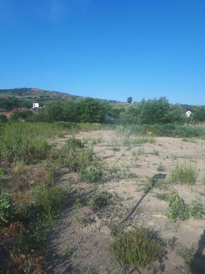 Teren strada Ion Creanga, comuna Chinteni