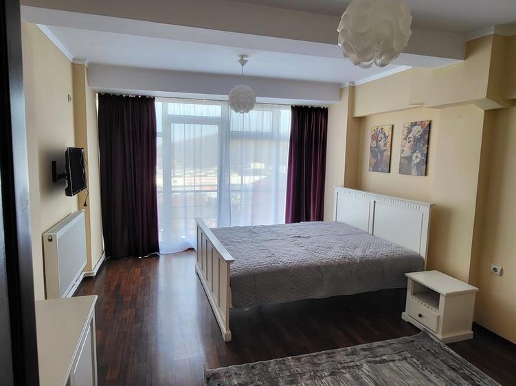 Apartament cu 2 camere, PET FRIENDLY, LOC PARCARE, zona Bucium - HOTEL PLEIADA