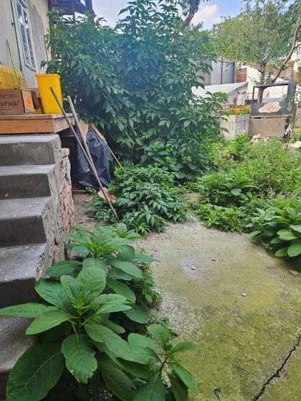 De vanzare casa centrala,situat la 200m de centru,cu 5 camere,necesita renovat.
