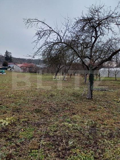 Teren Intravilan ideal pentru investitie, 2497mp, Turda - 7