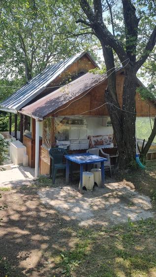 Proprietate de vanzare in Golești - 10800 mp teren și două case