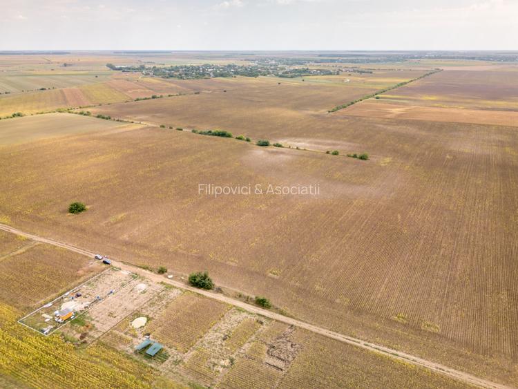 DASCALU – TEREN INTRAVILAN 11300 MP, INVESTITIE! - 4