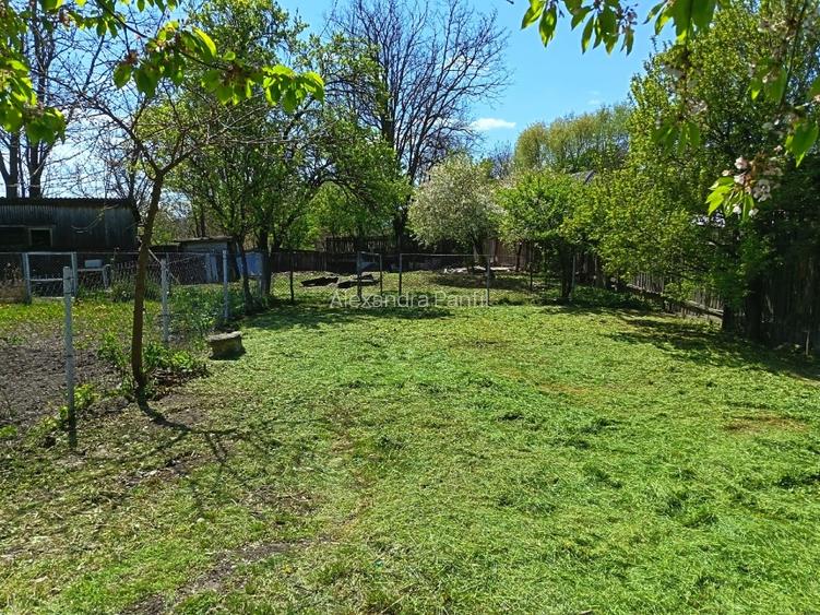 Casa de vanzare in Zanesti, Neamt - 4 camere, curte 2000 mp, direct proprietar - 2