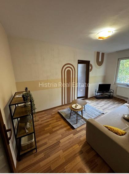 TOMIS NORD CIRESICA 2 CAMERE 350 EURO TERMEN LUNG - 3