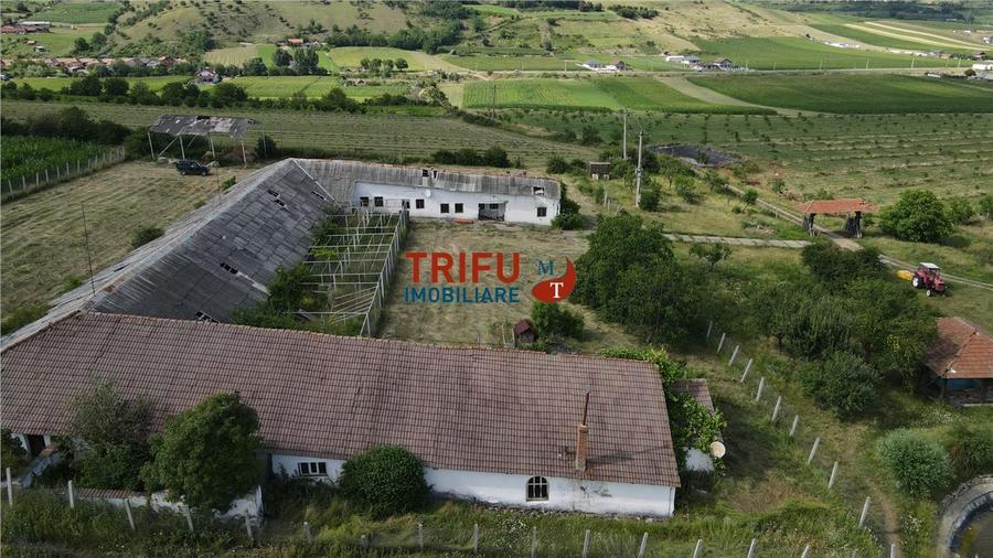 Ferma De Vanzare In Comuna Ighiu !