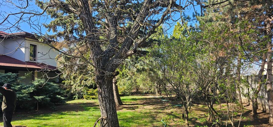 Proprietate exceptionala - Balotesti - 4