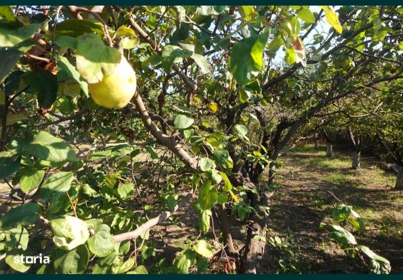 Casa de inchiriat, Prundu Mic -Pitesti, mobilata si utilata, curte, centrala etc