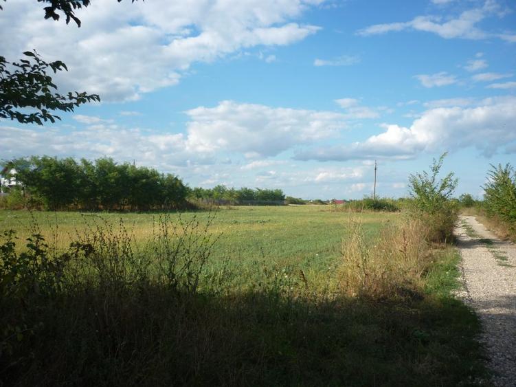 Teren 5000 mp,Niculesti –Peris –Ilfov