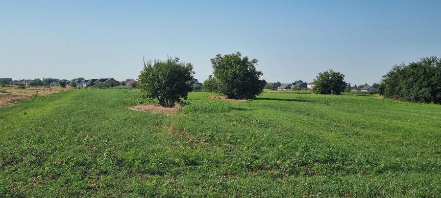 Teren intravilan 2.000 mp, două loturi construibile – Darvari, Ciorogârla
