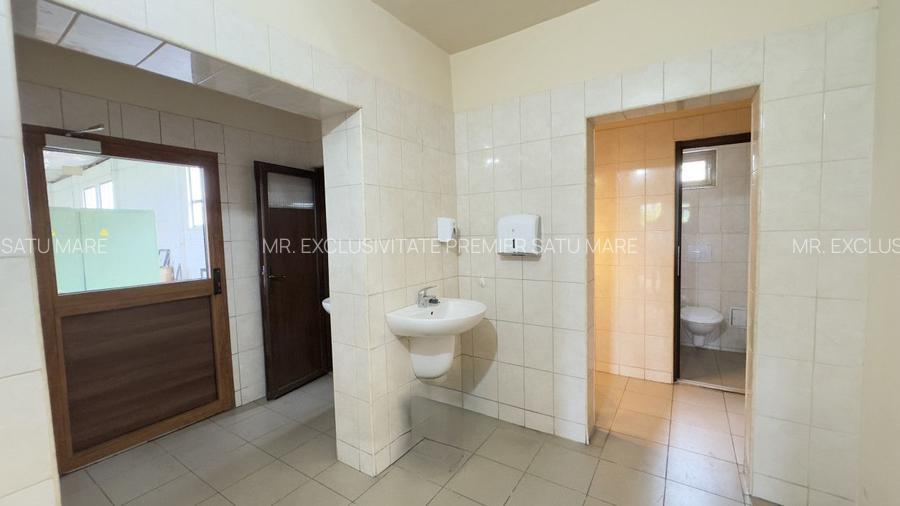 Clădire Industrială Hală Producție, Depozitare, Birouri-Teren 3140 mp - Carei - 8