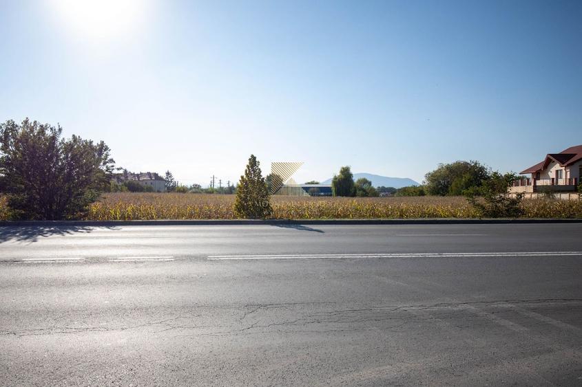 Teren intravilan | 20500 mp | PUZ | multiple destinatii | Stupini