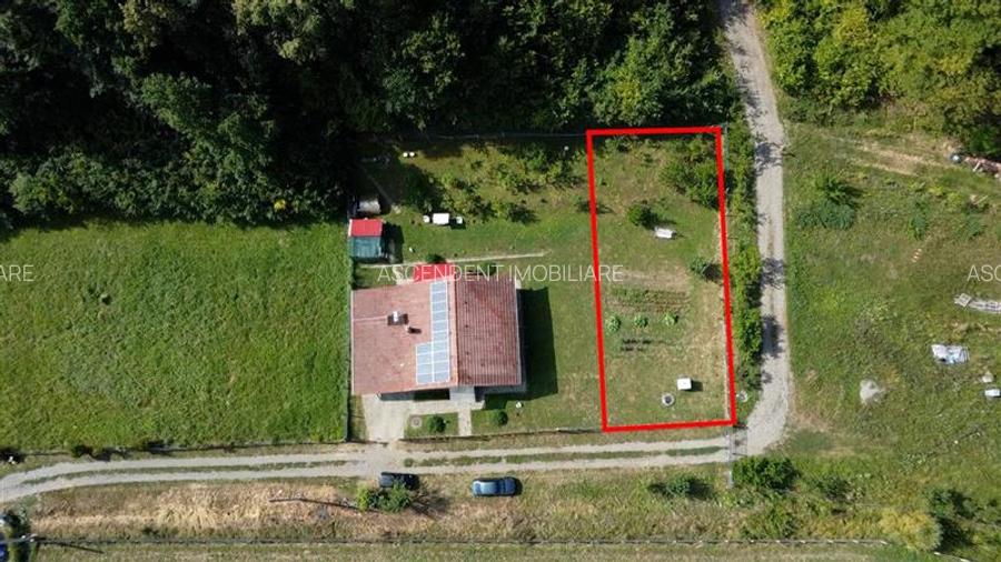 Teren premium de 500 mp la marginea padurii: oaza de liniste si intimitate - 3
