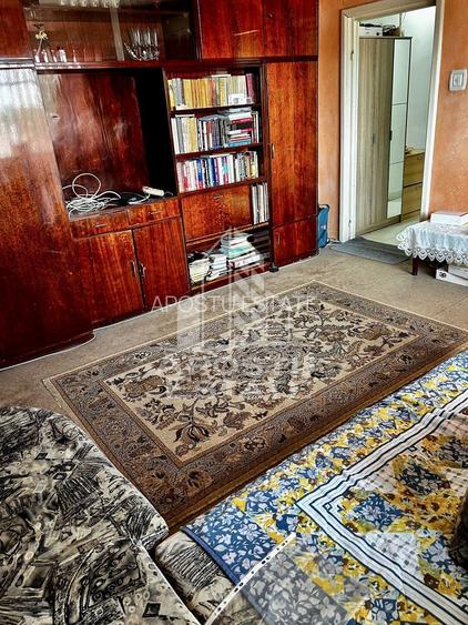 Apartament 2 camere de vânzare, zona Lipovei, Timisoara - 3