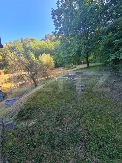 Casa individuala, 170 mp, 2400 mp de teren, zona Micesti - 15